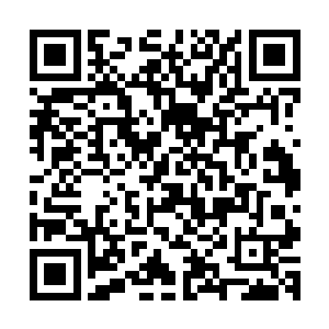 它那干瘪的几百只脚也正在以肉眼可见的速度变得饱满了起来二维码生成
