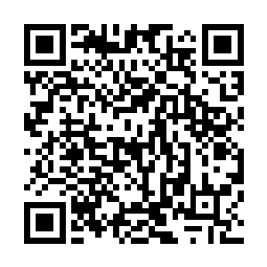 它除了不攻击太小的人鱼宝宝――人家讲究让猎物休养生息二维码生成