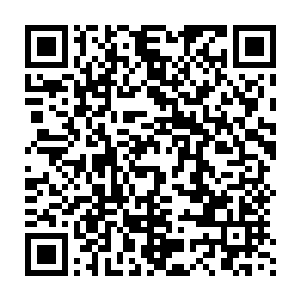 宇宙学家们怀疑在它的内部应该存在着一个各种重元素组成的固态核心二维码生成