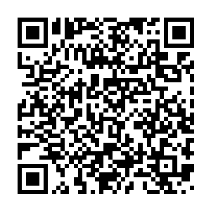 宇宙网里的修士们目光随着持衡界主抛飞的方向画出了一个抛物线二维码生成