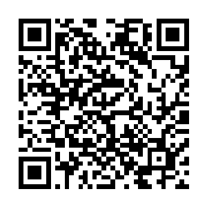 宇宙联盟和星兽联盟之所以认为各自占据了半个宇宙的空间二维码生成