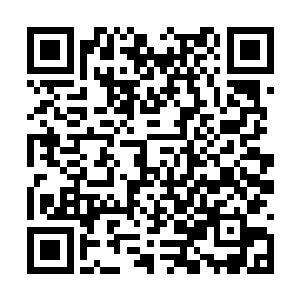 宇文无极一直在揣摩着丁灿和丁建林两兄弟的心思二维码生成