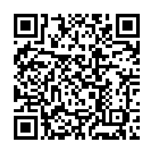 宇文耶奼一把扯过郑沃让的手强行让他握住油松短棒二维码生成