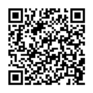 宇文长老看了看爱女嘴巴的哆嗦了下沮丧唉叹道二维码生成