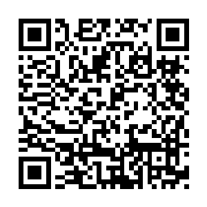 守卫严密的庄园对于池佳一来说和不设防的一样二维码生成