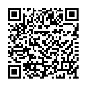 守护者而来――不知道师父可曾寻找到那有缘人二维码生成