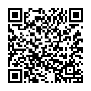 守门的衙役就眼睁睁的看着穆扬灵赶着一群羊出了城门二维码生成