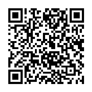 安东诺夫制造厂会对这批飞机进行彻底的大修和改造二维码生成