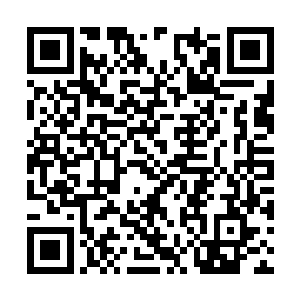 安吉拉心中就想起了父亲满头白发伏案忙碌的场面二维码生成
