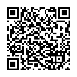 安妮最为著名的小说就是第一个系列的吸血鬼故事二维码生成