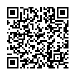 安娜之前就从南方巫师联盟东部总部那里替马文办理了一些手续二维码生成