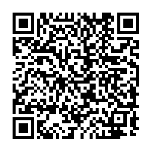 安娜甚至有些看不透这个从小跟在自己屁股后面学习如何治理领地的少年了二维码生成
