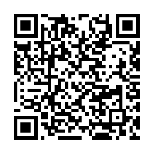 安小念假装用手轻轻抚了抚人家粉嫩嫩的唇之后说二维码生成