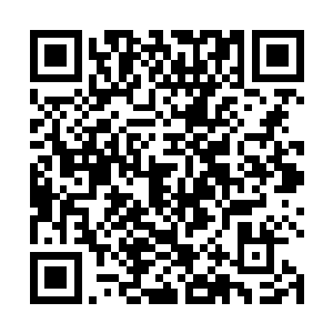 安峰城只是禁古之界外域数万城池中很普通的一座城市二维码生成