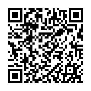 安排人去把这两个人的同伴带到他们该去的地方二维码生成