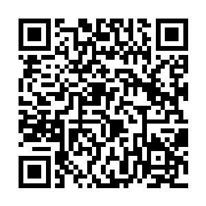 安排小学生在这里列队欢迎肯定也是罗嘉实同意了的二维码生成