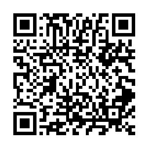 安琪儿能够成功继承祝融的祖巫传承对他而言无疑是个好消息二维码生成
