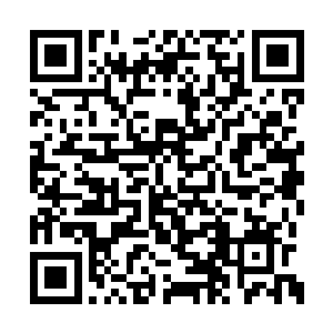 安瑾安瑜将两个孩子放回重新铺就的羊绒地毯上二维码生成