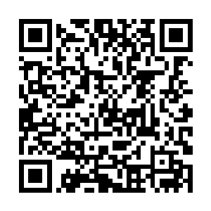 宋含香不知道宋慈带了一罐五十年的金莲茶茶叶回家二维码生成