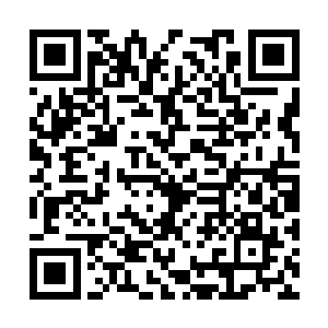 宋城和沙洲两个主城区的发展构想还在进一步完善二维码生成