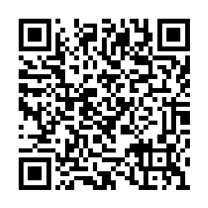宋智孝等人听到金在珉的声音之后也都汇聚一起二维码生成