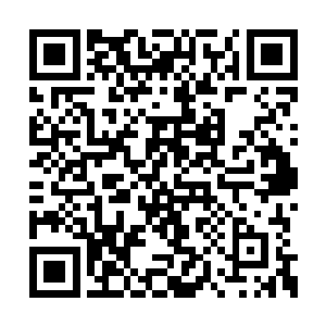 宋智黏在齐浩然身上的目光这才看到齐修远他们二维码生成