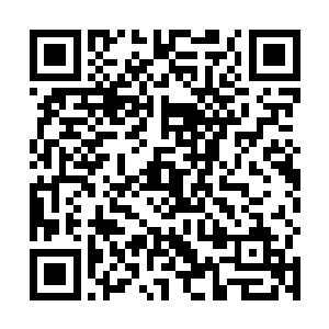 宋阀上上下下这么多年也没听说出过什么了不得的人物二维码生成