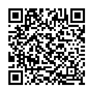 完全不知道他们已经落入了伏羲墨的阵法当中了二维码生成