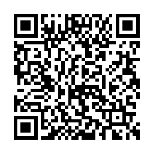 完全不知道半米之上的水潭外面发生了什么事情二维码生成