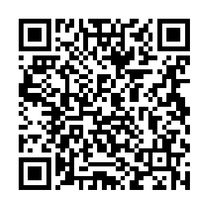 完全不知道神皇之位早已经是司徒妖月的囊中之物了二维码生成