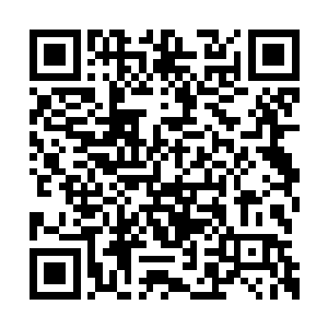 完全不管自己的神魂能不能承受得住这样的消耗二维码生成