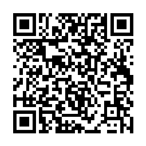 完全可以从中选出一部分愿意臣服于我们骷髅海盗团二维码生成
