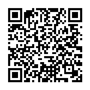 完全可以在大灾变之后聚集大部分费南生灵的力量了二维码生成