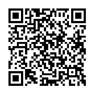 完全可以感知到那惊天动地的大战是多么的恐怖二维码生成