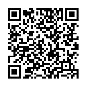 完全可以让王浩文电话联系其他男生去瞧一眼韩天秦的情况二维码生成