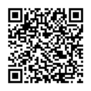 完全可以露出自己身上七八十来个被毒蛇咬伤的伤口二维码生成