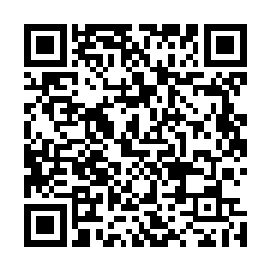 完全就是由地水风火四大元素按照某种规则呈现出来的世界二维码生成