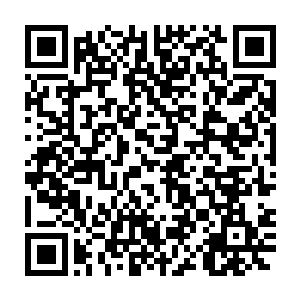 完全忘了自家白兰也是主要战斗力的妮娜兴冲冲的拍了拍库洛姆的手臂二维码生成