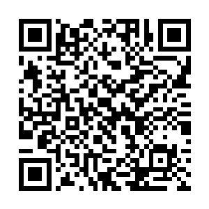 完全打断了他要让青珠去和青帝死磕两败俱伤的布局二维码生成