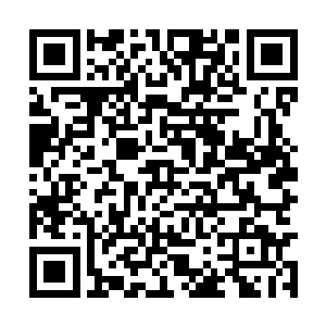 完全是凭借她的个人对食物的理解所创造出的新点二维码生成