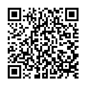 完全是因为他要入侵一位生前更加强大的八转蛊仙的洞天世界二维码生成