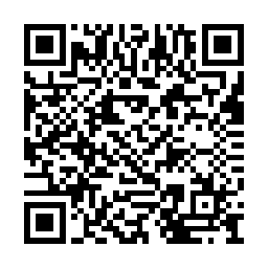 完全是因为这里几乎见不到任何妖兽和海族出没二维码生成