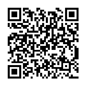 完全没必要过来跟自己这个小小的射击摊主过不去二维码生成