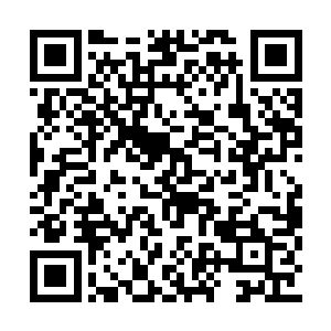 完全没有必要再浪费一个名额在公安局长身上了二维码生成