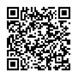 完全看不出这个傀儡九皇子与原来的九皇子有什么区别二维码生成