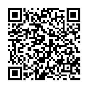 完全顾不得自己当初是怎么死皮赖脸的想要嫁给这个男人二维码生成