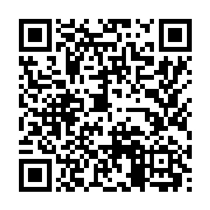 宗主大人见小幼崽将凤影仙禽摁在悬崖峭壁上拔毛二维码生成