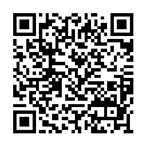 宗伟江和学校的一干领导终于慌慌张张的跑来了二维码生成