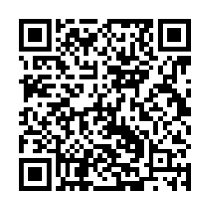 宗城内部也几乎在同一时间从各处地面亮起十余根光柱二维码生成