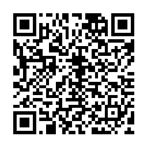 宗师级后期强者一名以及一个宗师级中期强者……三位忍者高手二维码生成